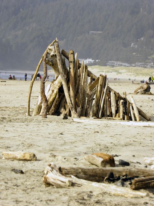 Structure Of Logs On Beach