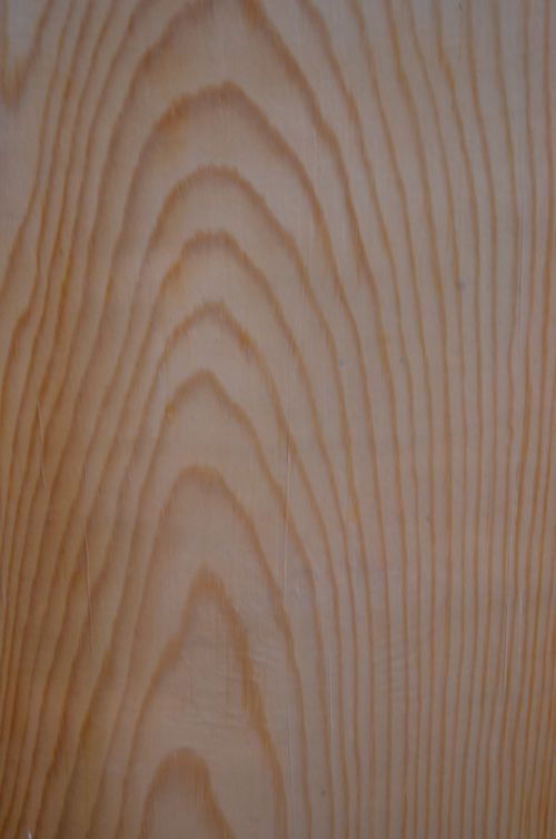 Structure Of Wood