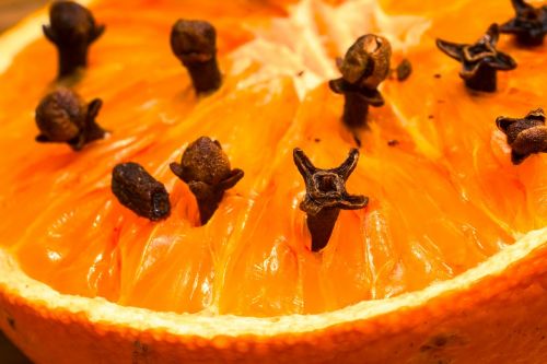 studded orange clove syzygium aromaticum