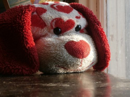stuffed animal puppy valentines day