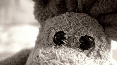 stuffed animal eyes teddy bear