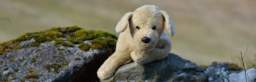 stuffed animal plush dog dog