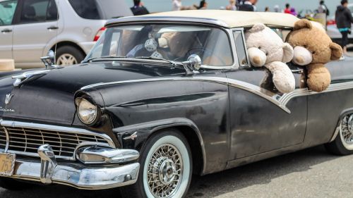 stuffed animals classic car driving