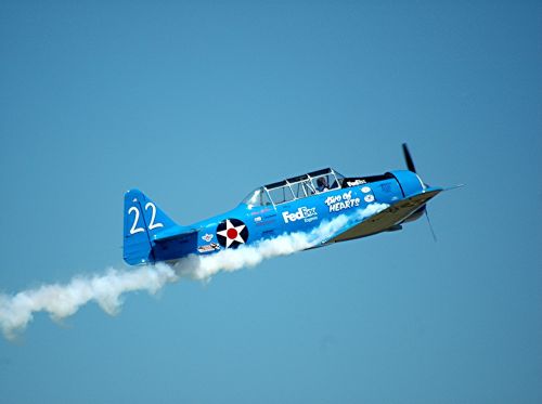 stunt plane air show pilot