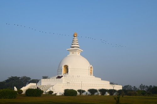 stupa  bouddha  birds