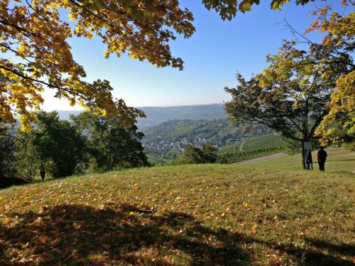 stuttgart autumn nature