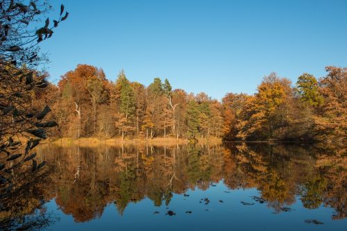 stuttgart bear lake nature