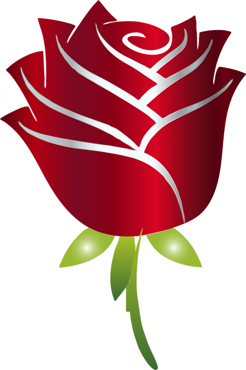 stylized rose flower
