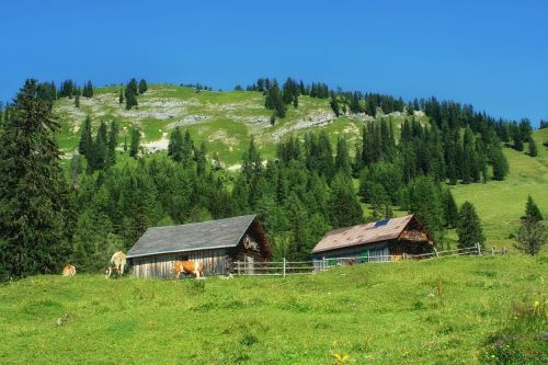 styria austria landscape