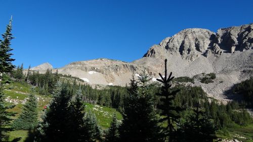 subalpine forest mountain peak with lake