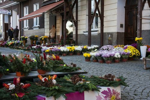 słubice old city