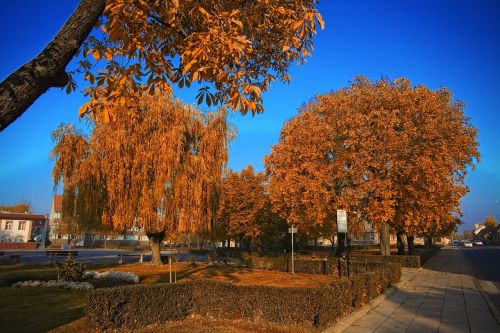 słubice park sky