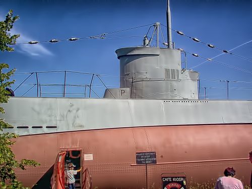 submarine european mink entrance