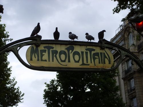 subway metro pigeons
