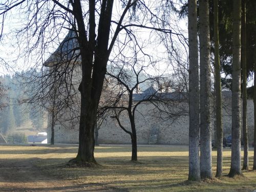 sucevita tree church