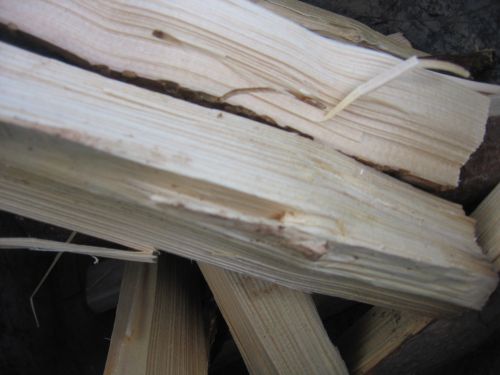 Dry Wood