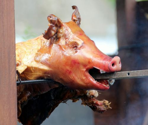 suckling pig fry meat