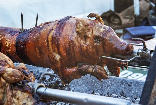 suckling pig  pig roast  rotisserie