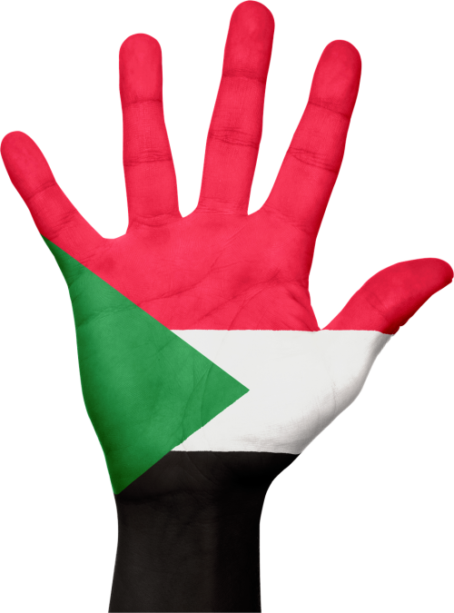 sudan flag hand