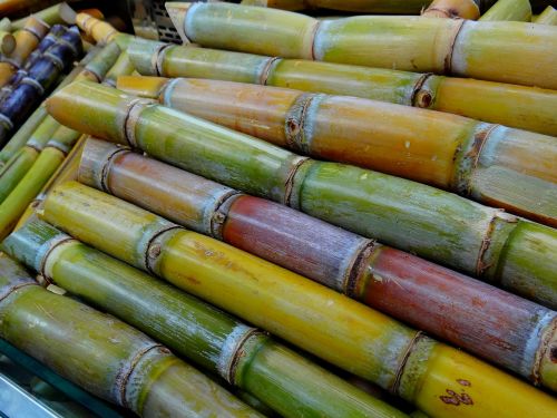 sugar cane licorice stimulant