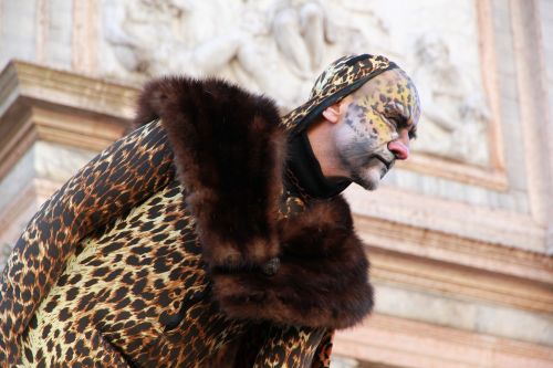 suit leopard image