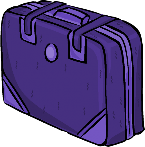 suitcase case travel