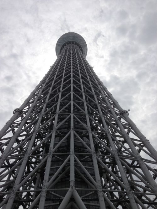 sukaitsuri tokyo tokyo tower