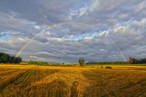 summer rainbow landscape