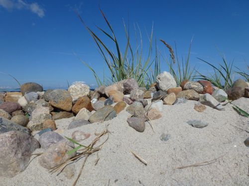 summer beach dunes