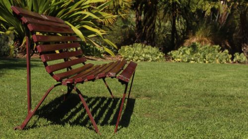 summer bench grass