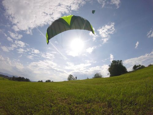 summer meadow kite