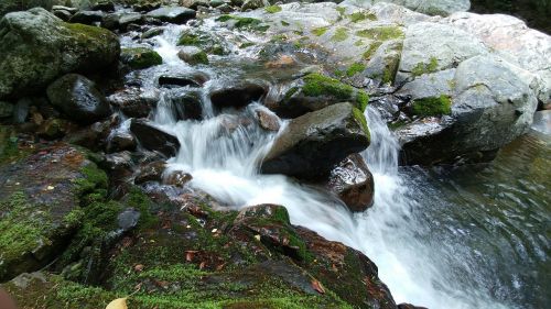 summer valley water