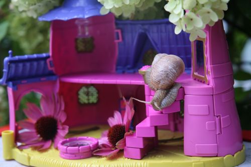 summer snail toy