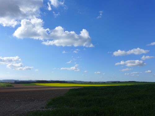 summer blue weather