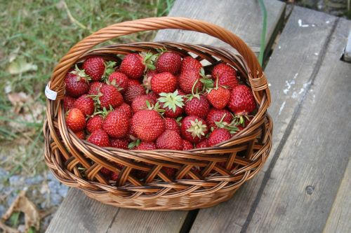 summer strawberries basket