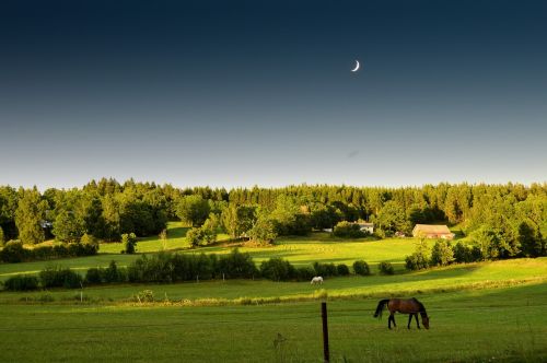 summer sunset moon