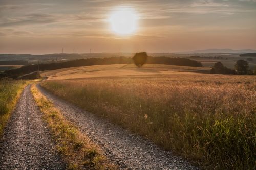 summer sun landscape