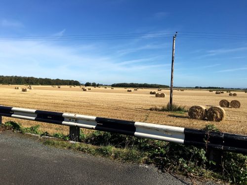 summer harvest hay bails