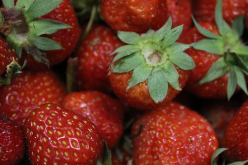 summer berry strawberry