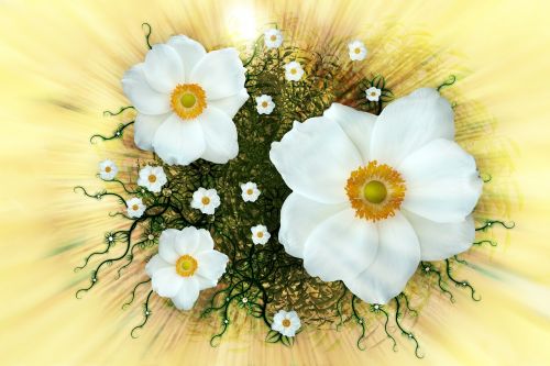 summer anemone sylvestris arrangement
