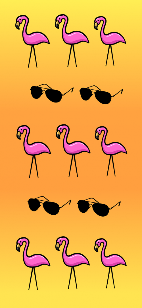 summer flamingo sunglasses