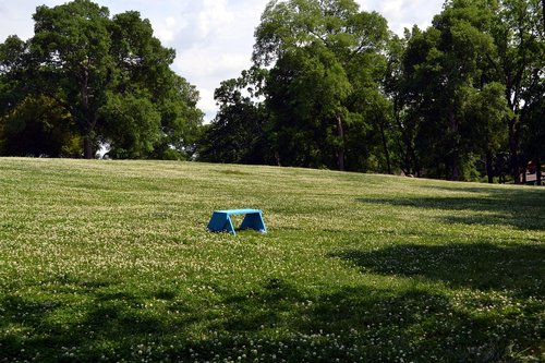summer  grass  seat
