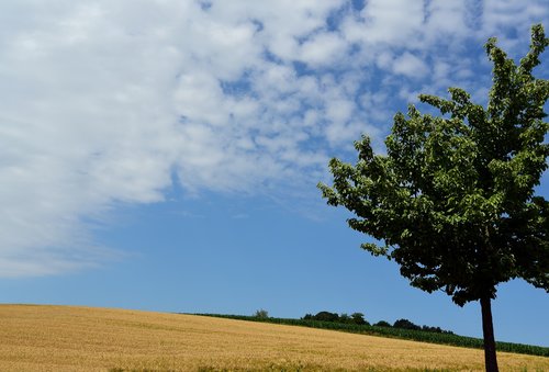 summer  sky  landscape