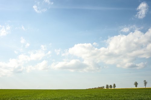 summer  landscape  nature