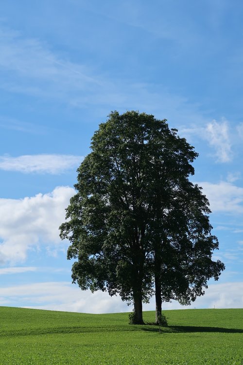 summer  sky  nature