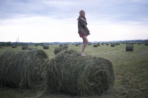 summer  field  nature