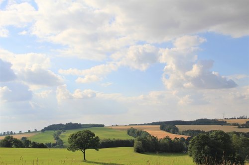 summer  landscape  mountains