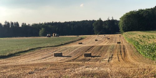 summer  fields  agriculture