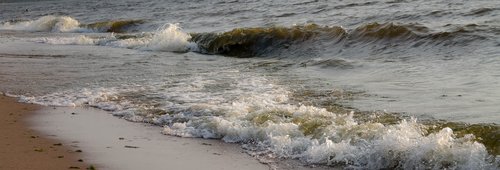 summer  the baltic sea  wave
