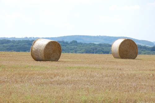 summer  straw bales  agriculture